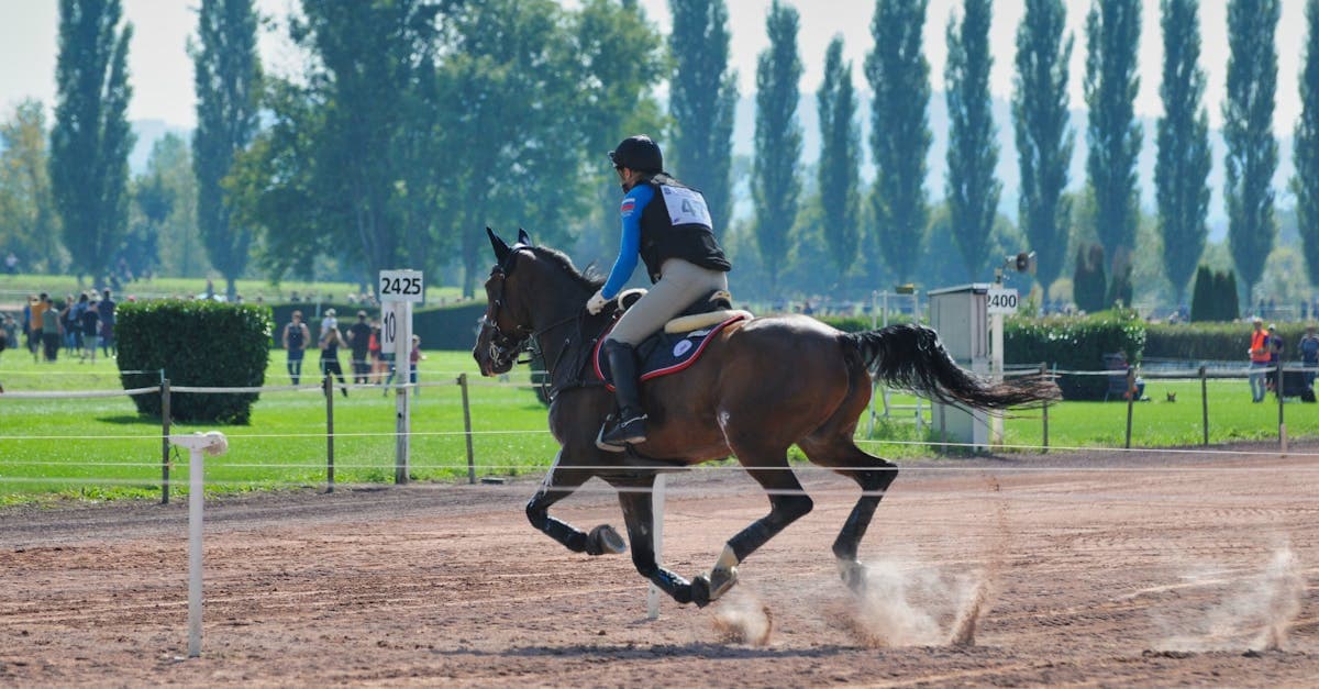 Hambletonian